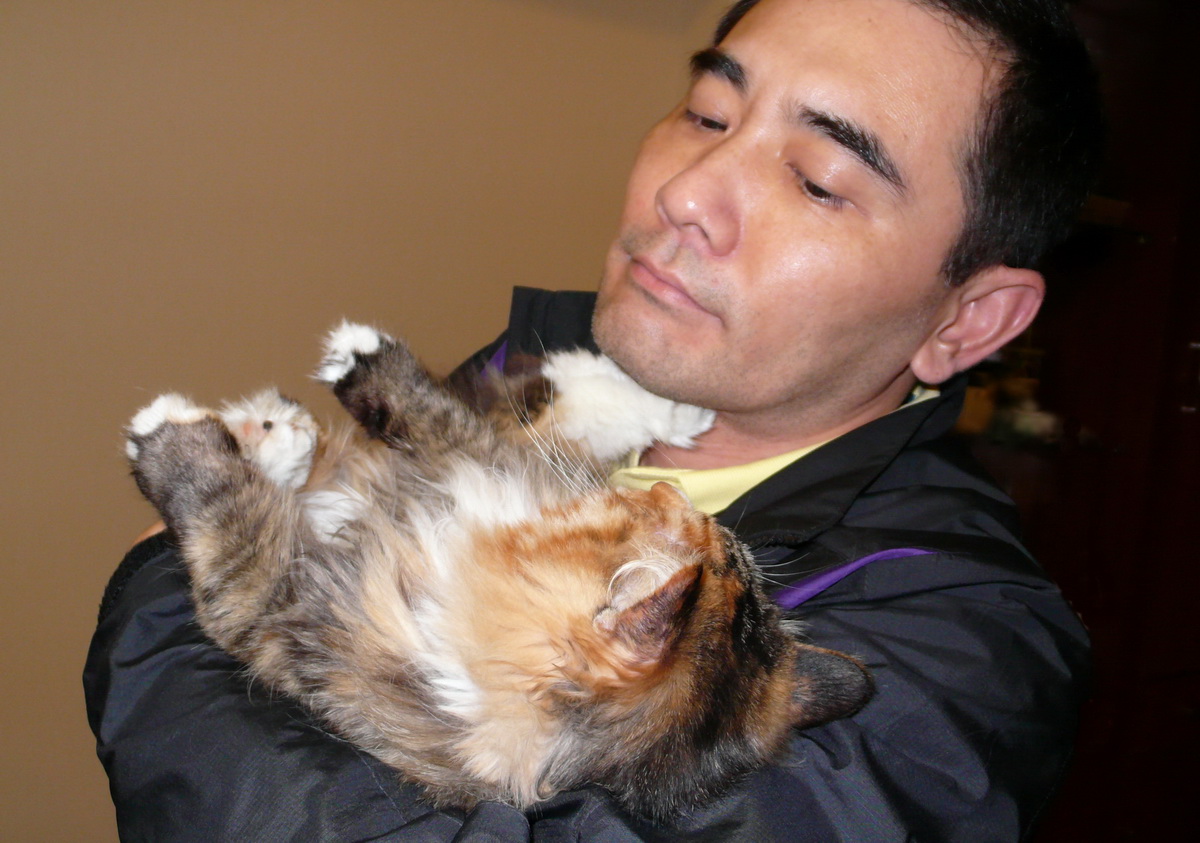  p>赵文瑄,中国台湾影视男演员,毕业于明志工业学院机械科.