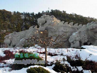  p data-id="gnwrp77x1f">大连虎雕广场位于大连市中山区老虎滩.