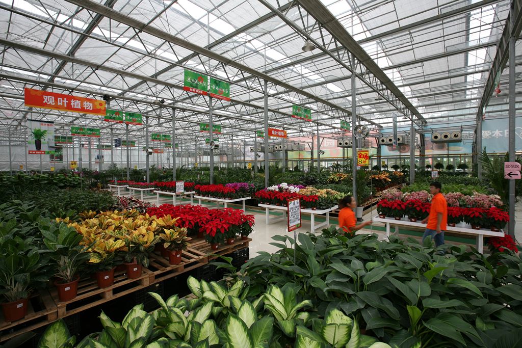 href="/item/浙江">浙江 /a>虹越花卉股份有限公司为顺应日益高涨的 a