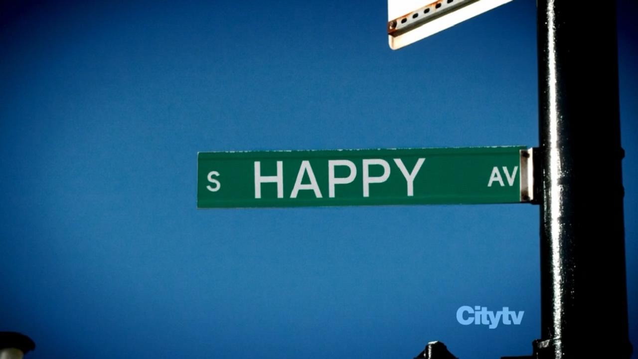 幸福终点站theterminal(2004)