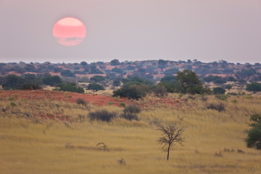 kalahari desert