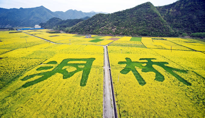  p data-id="gnhey5v145">洞桥镇,隶属于浙江省杭州市富阳区,地处 a