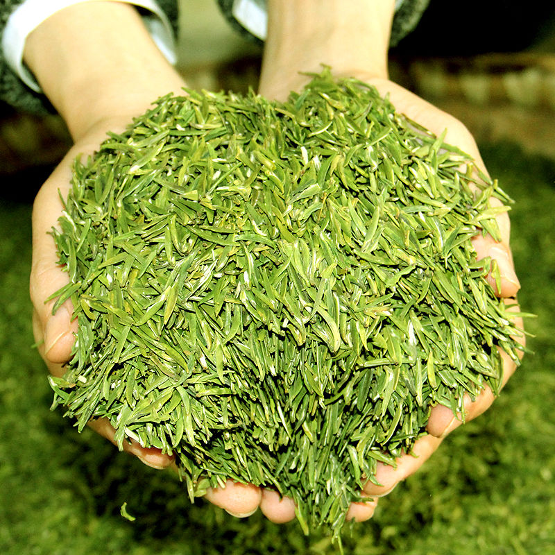  p data-id="gnyuzqdmlw">宁强雀舌"茶产于陕,甘,川三省交界的陕西省