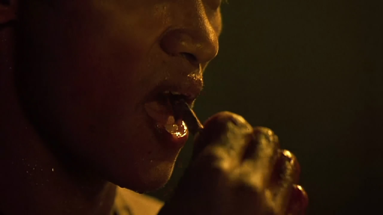 ong-bak: muay thai warrior