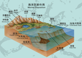 沉积作用_百度百科