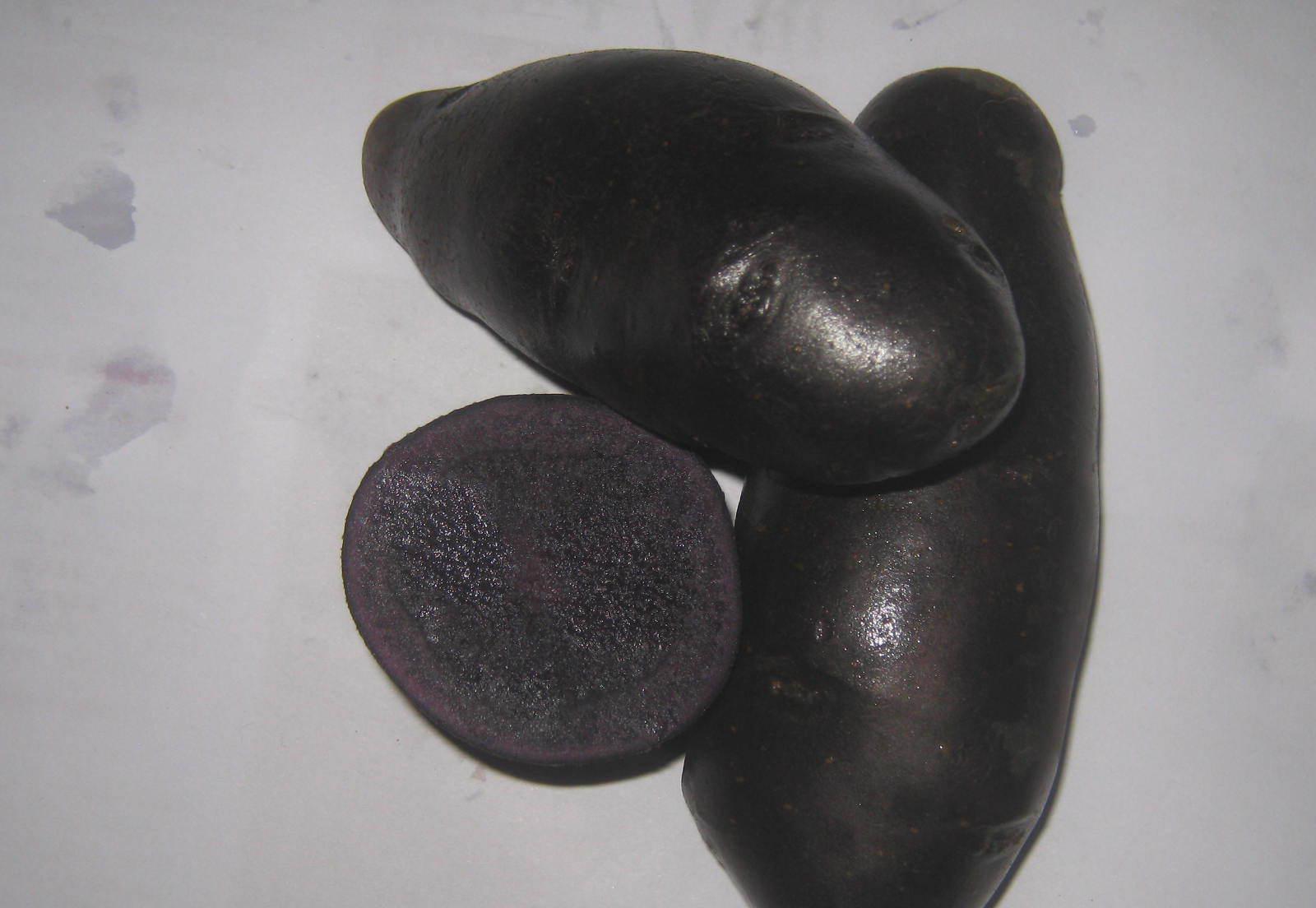  p data-id="go0kze2wdr">黑土豆(黑马铃薯)是集营养,保健,观赏于一体