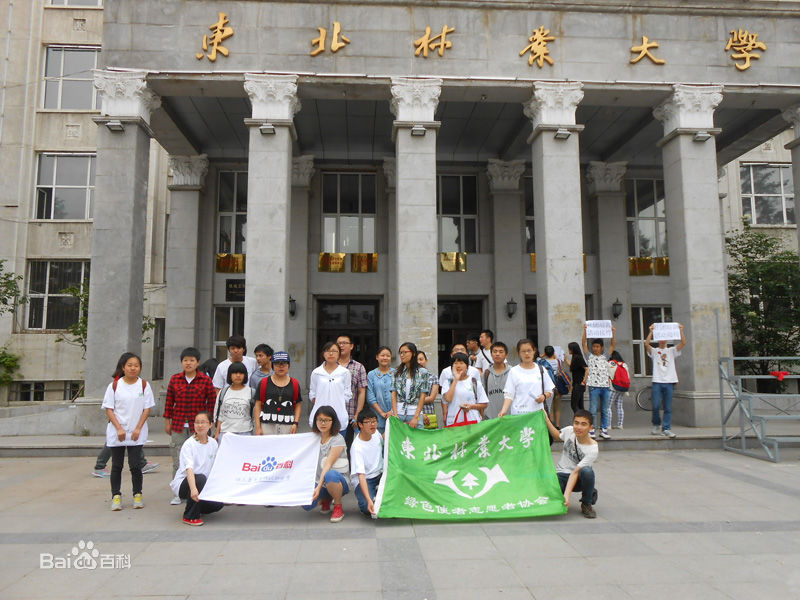 东北林业大学毕业证英文版