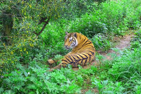 海沧野生动物园