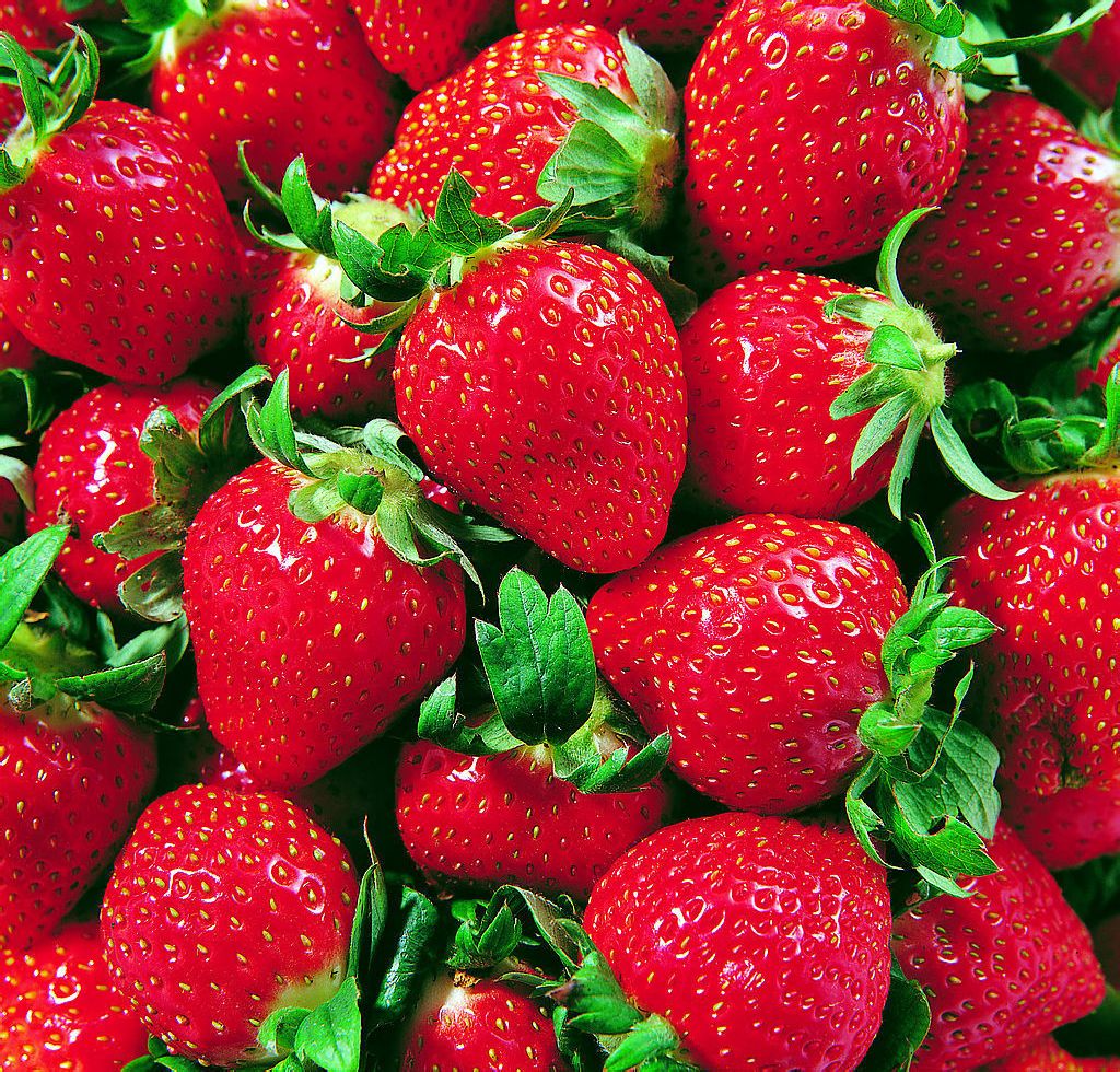  p>草莓(英文学名:strawberry,拉丁学名:fragaria × ananassa duch.