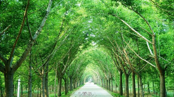 姚庄时光隧道