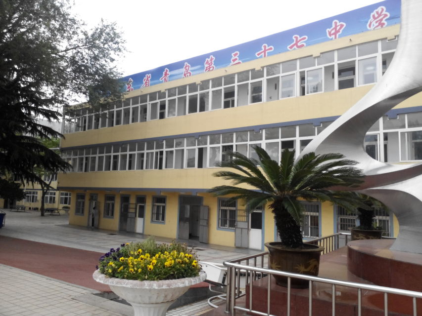 青岛三十七中学