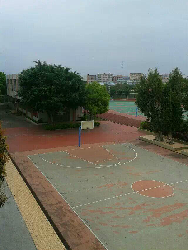 广州第八十一中学