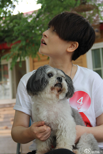  p>泰迪家族是 a href="#" data-lemmaid="328563">霍思燕 /a>自创的