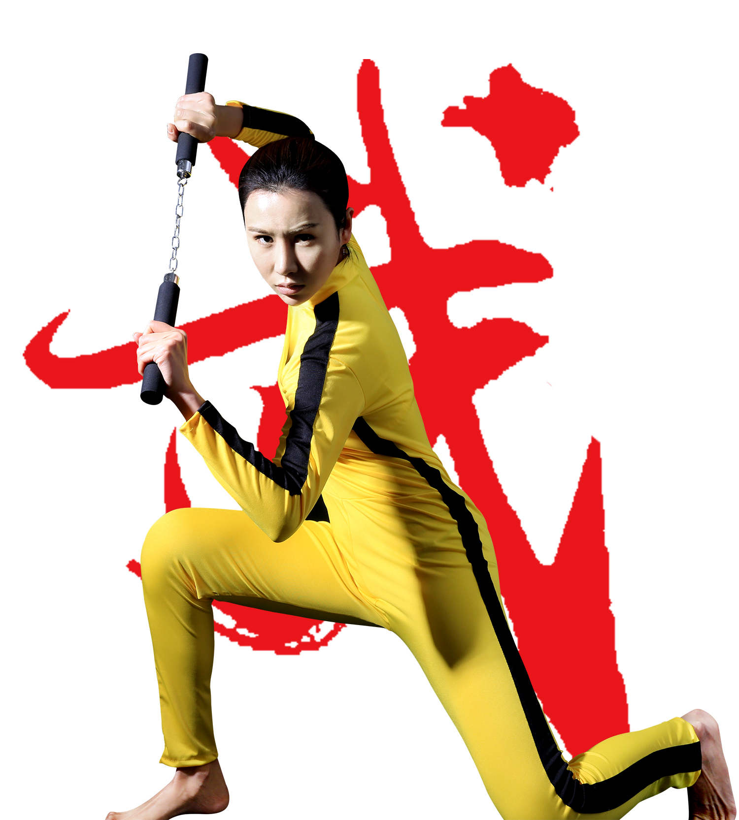  p>飞儿 i>(原名王菲 /i>),出生于河北省,毕业于河北武术队,中国内地