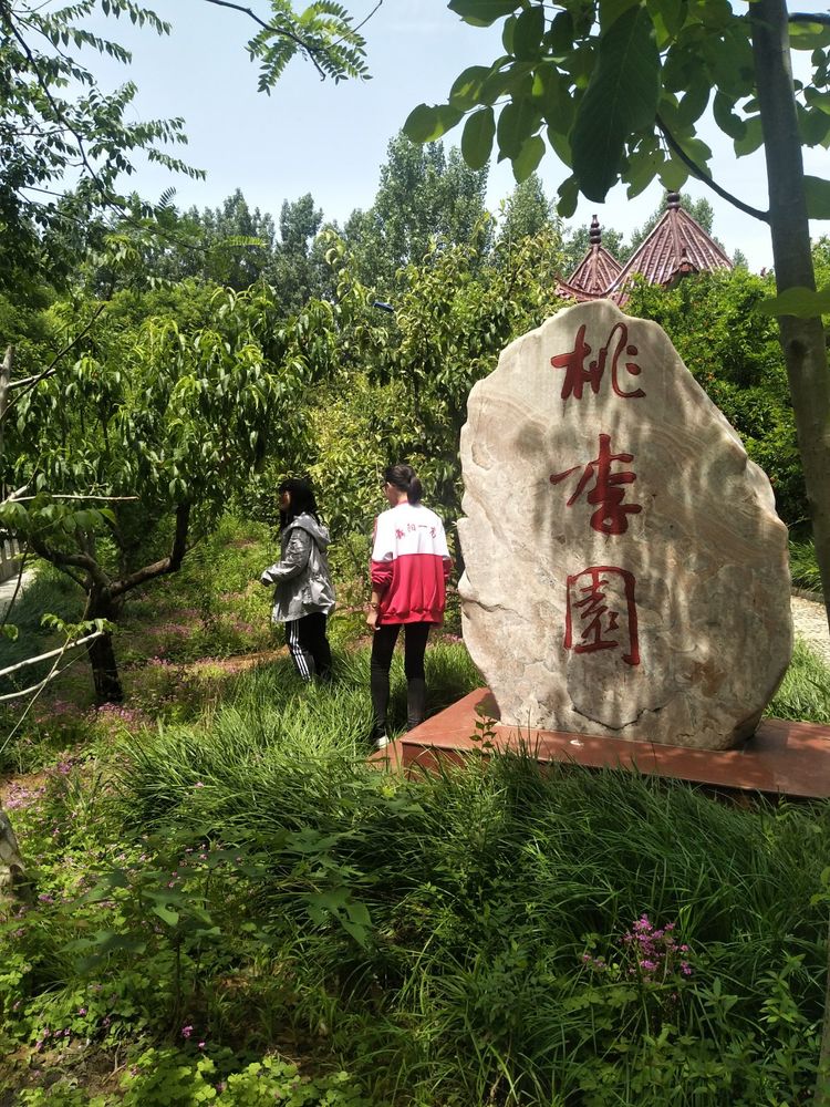 舞阳县第一高级中学
