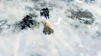 328_184gif 动态图 动图