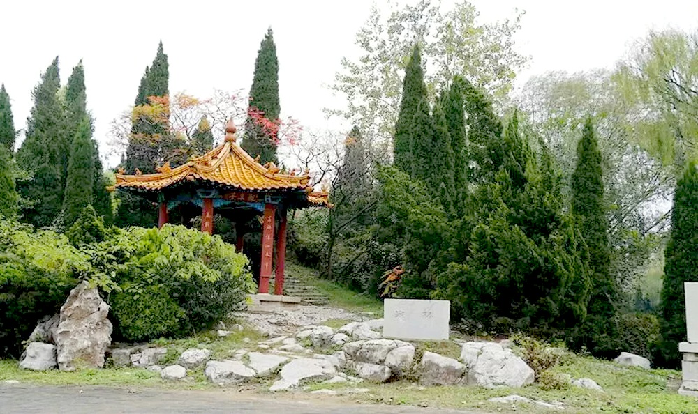  p>泉林泉群,位于山东省泗水县城东泉林村,属于石灰岩裂隙岩上升泉.