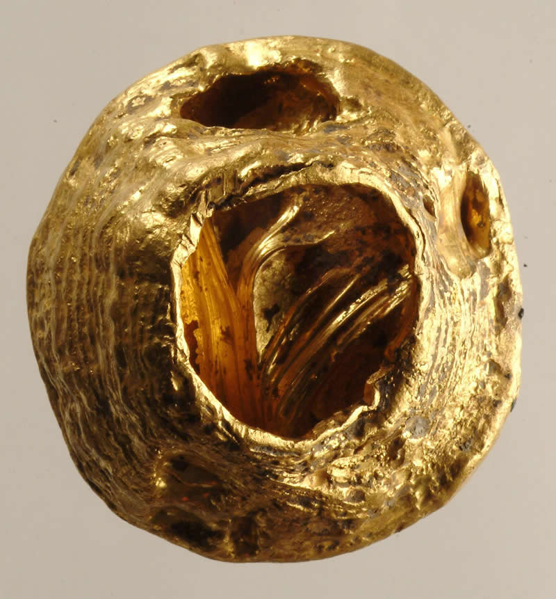 马蹄金