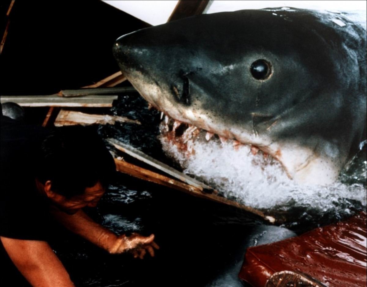  p data-id="gnwhd0fl87">《大白鲨》(英语:jaws)是1975年上映的一部