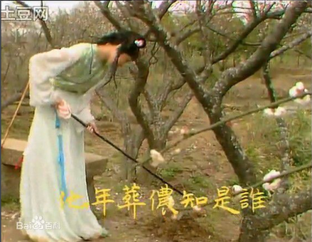 葬花吟（《红楼梦》中诗作）_百度百科