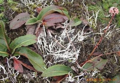  p>迪庆藏族自治州,是云南省的8个自治州之一,首府 a target="_blank"