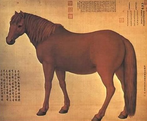 这才是真国学！这些古代指代名马的生僻字，你能认识几个？_百科TA说