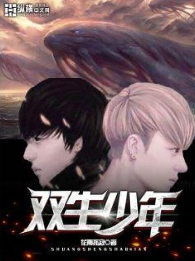 双生少年