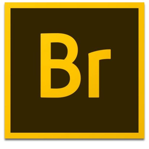 Bridge（接通企业与企业之间、人与人之间、企业与人之间的接口）_百度百科
