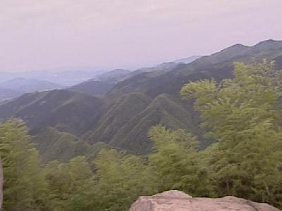  p data-id="gn6pdvgp5k">杭州市余杭区鸬鸟镇仙佰坑村是位于杭州市 a