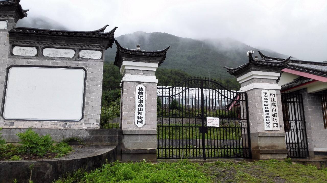 丽江高山植物园