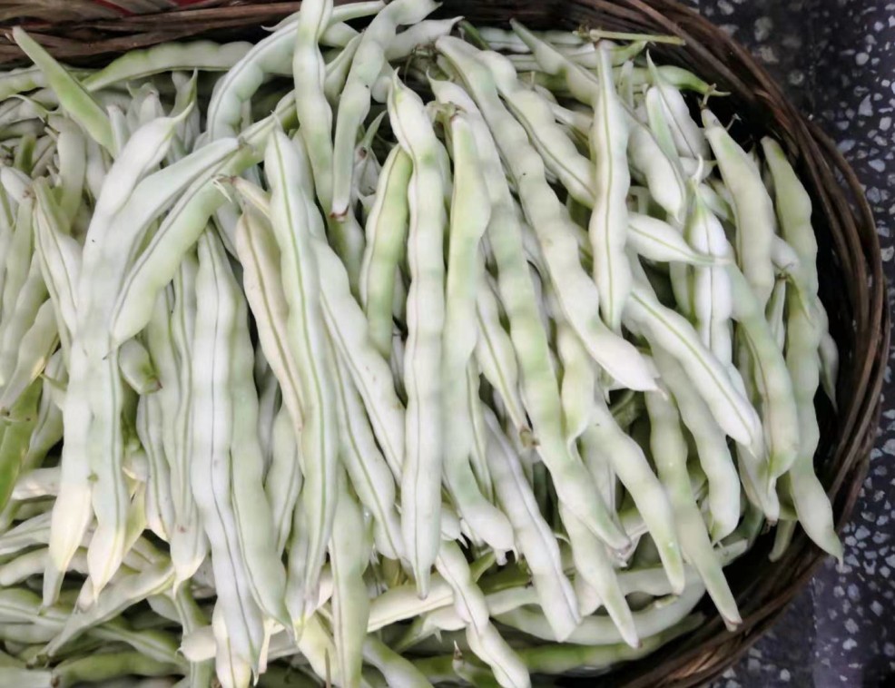 白豇豆