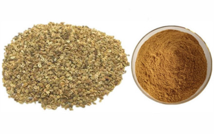 编辑播报胡萝卜繁殖方法胡萝卜的种子在20-25℃温度条件下易发芽,所需