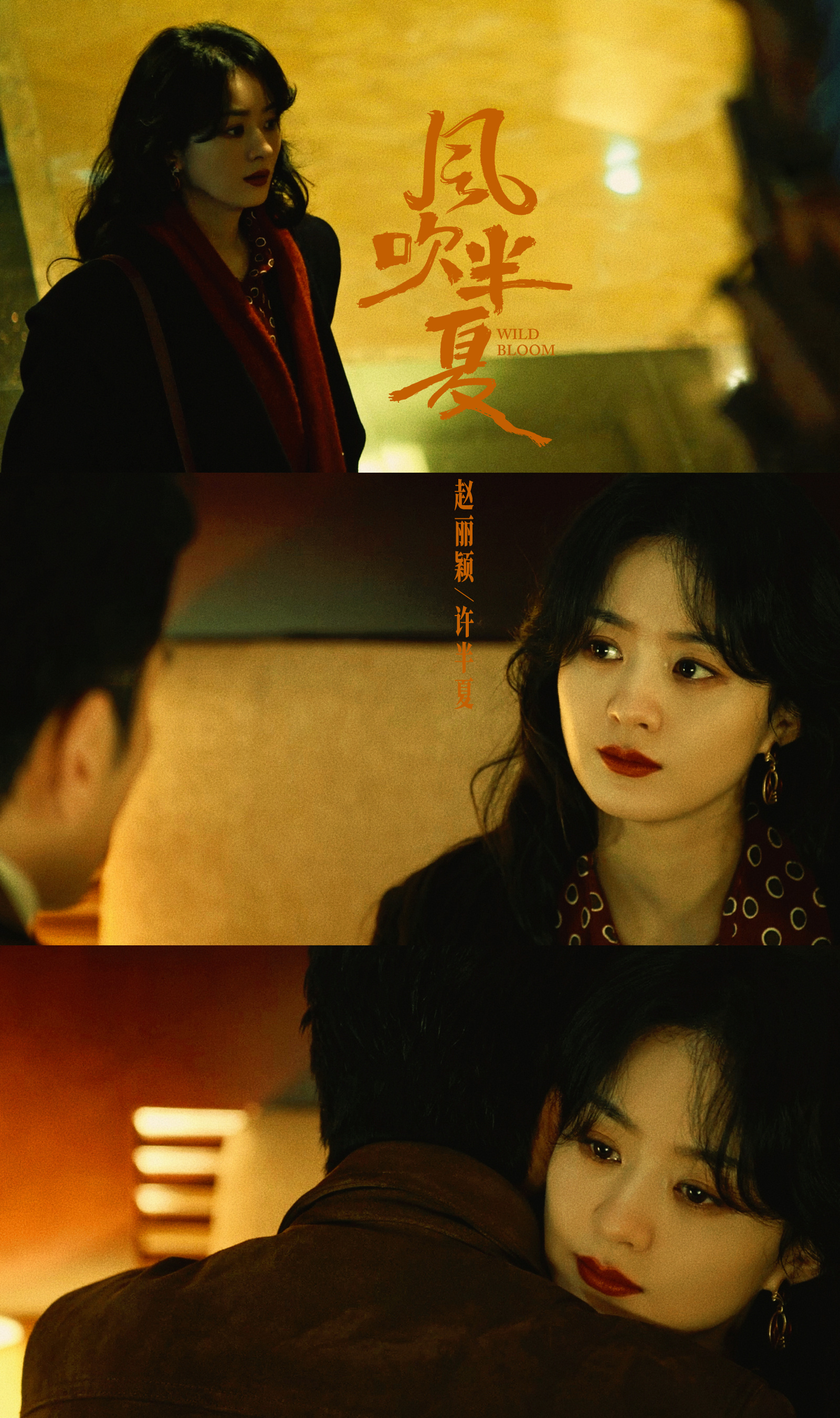 data-lemmaid="9928841">不得往生》的电视剧《风吹半夏》中的女