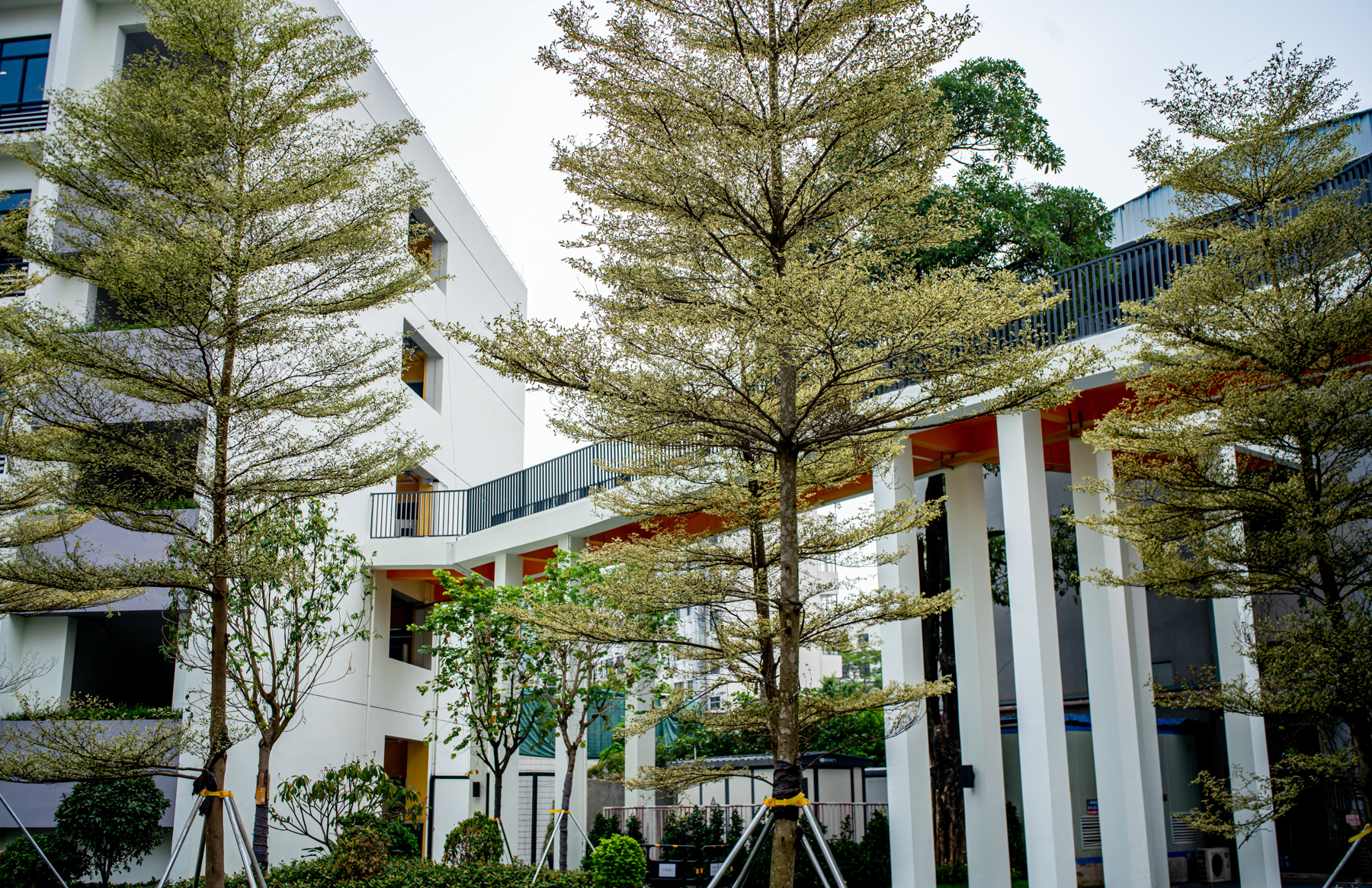 深圳市龙岗区扬美实验学校