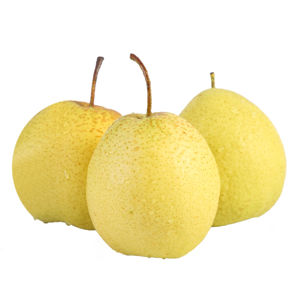  p data-id="txtqrux5iwtv">雪梨,蔷薇科梨属乔木植物,花瓣卵形,先端