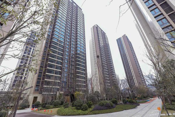 梦想特区宏图里