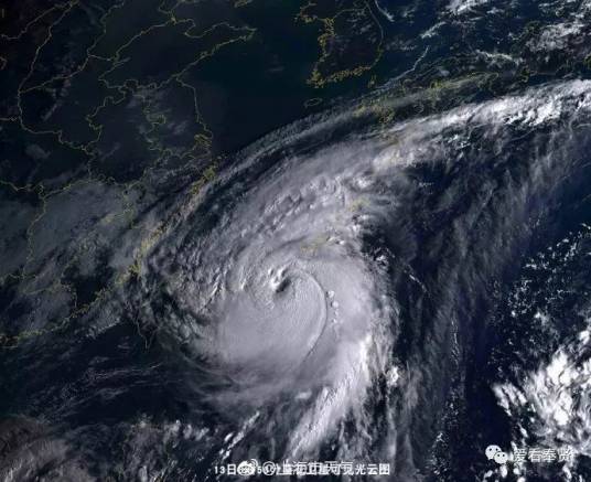 台风“泰利”_百度百科