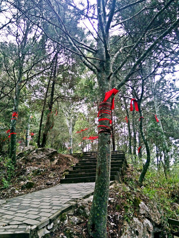 午子山风景名胜区