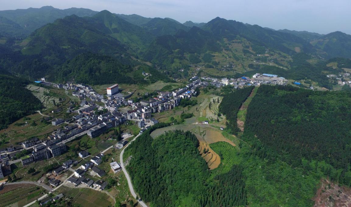  p data-id="gnheyc2m2g">古蔺县箭竹苗族乡,隶属于四川省泸州市 a