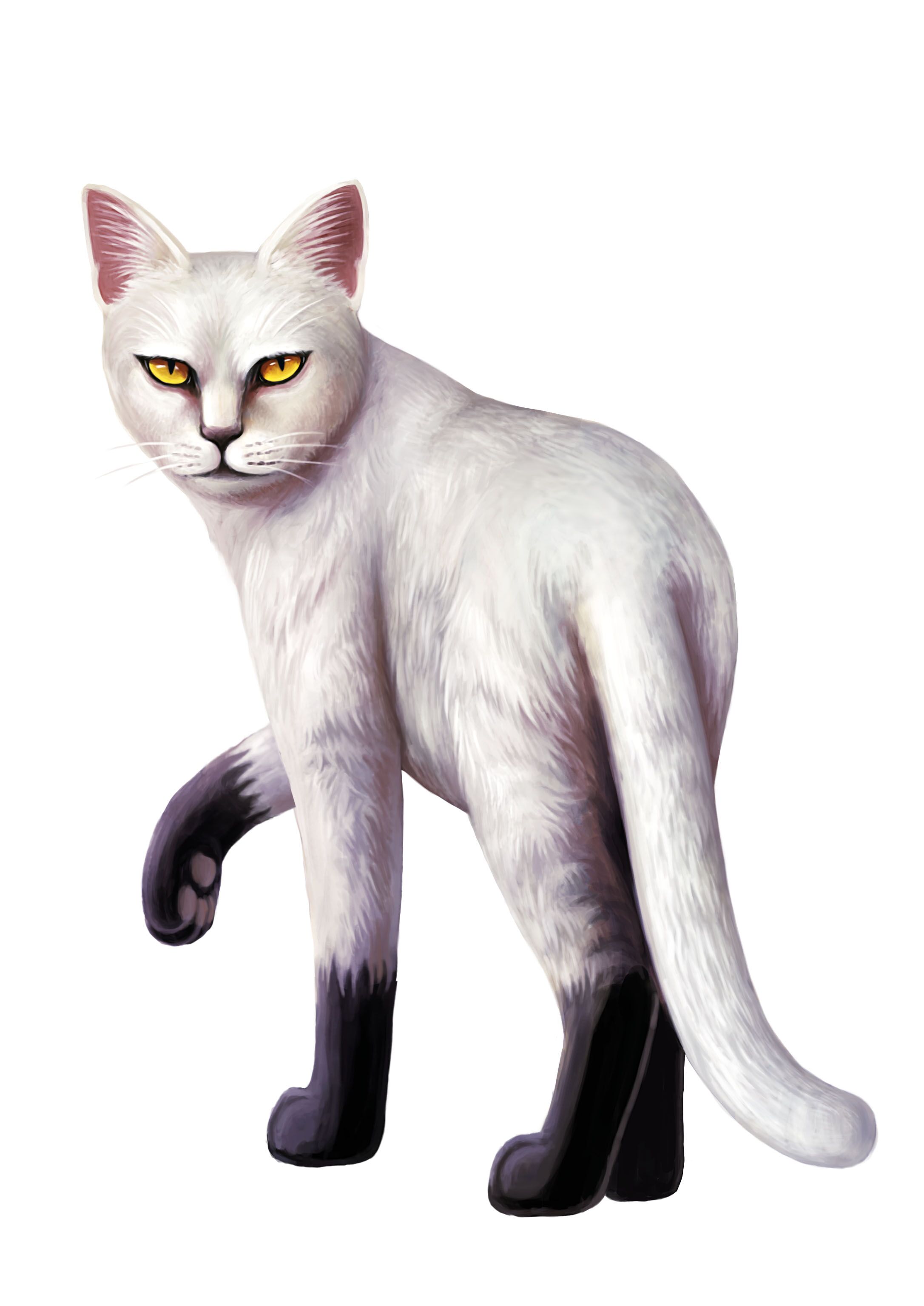 b">黑星,英国小说《 a target="_blank" href="/item/猫武士/4739018"