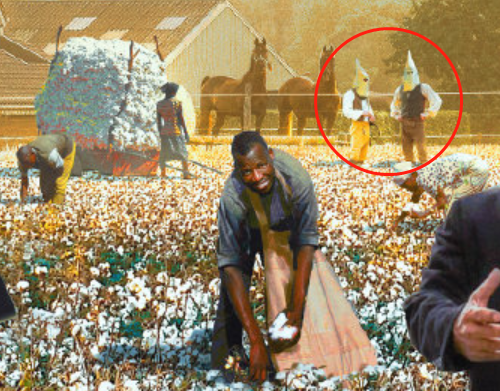 血腥棉花发展计划