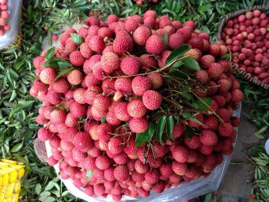  p>北流荔枝,广西壮族自治区玉林市 a target="_blank" href="/item