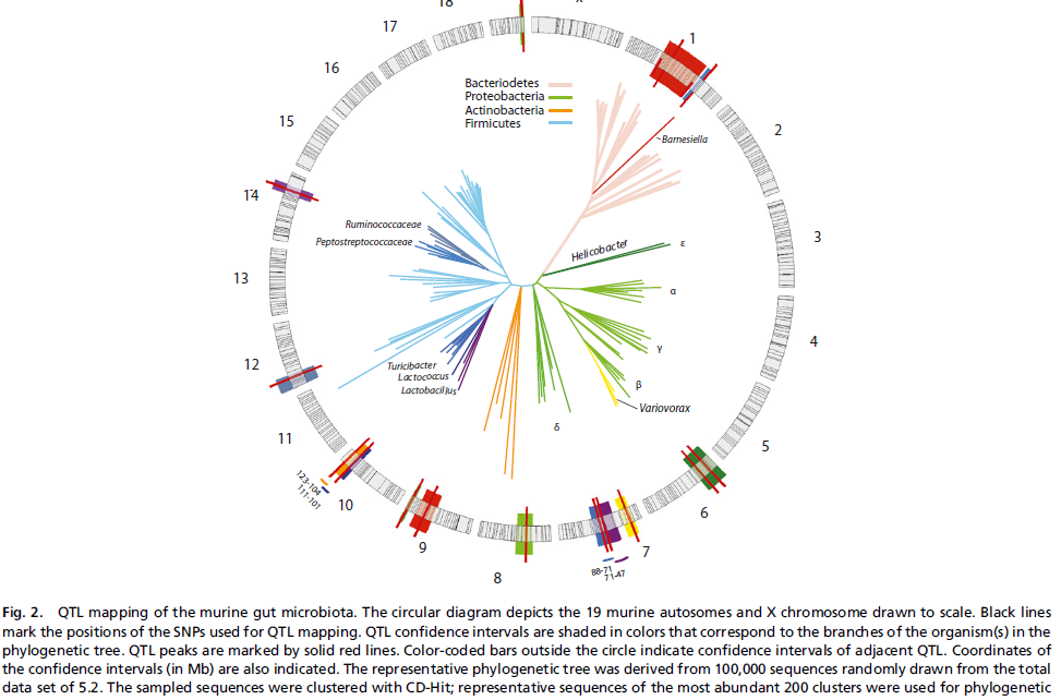  p>16srrna为核糖体的rna的一个亚基,16srdna就是编码该亚基的基因.