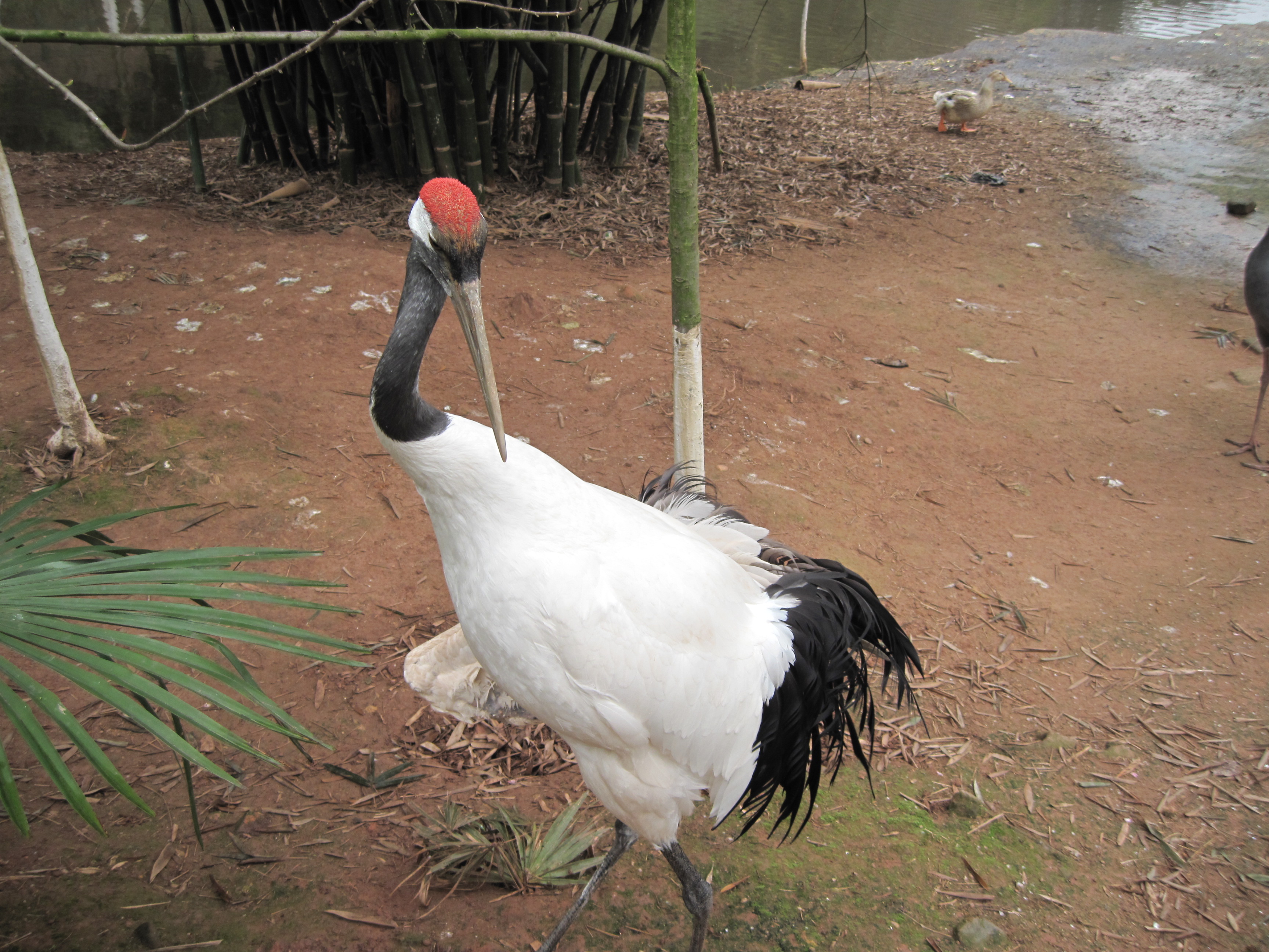  p>赣州森林动物园位于 a href="#" data-lemmaid="2261643">江西省