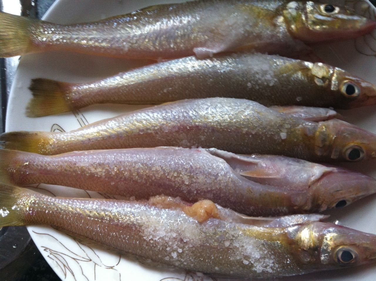 简单美味---煎沙锥鱼