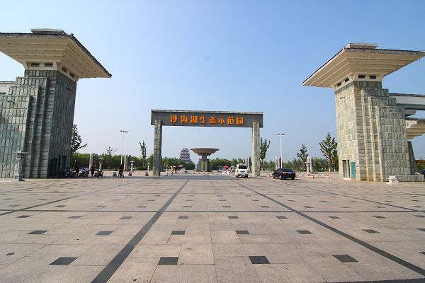 沙沟湖水杉公园