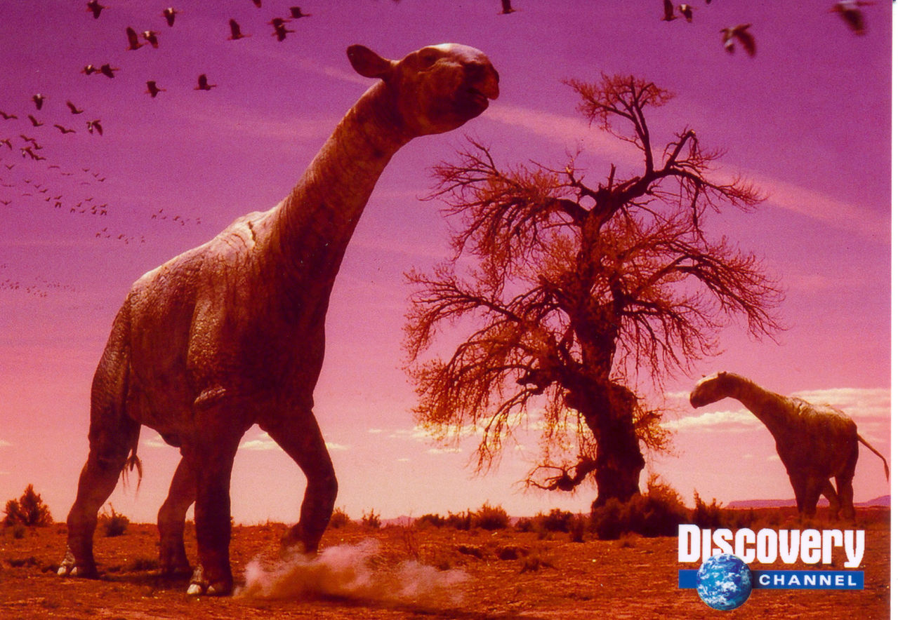 长颈犀形兽(paraceratheriumtransour.