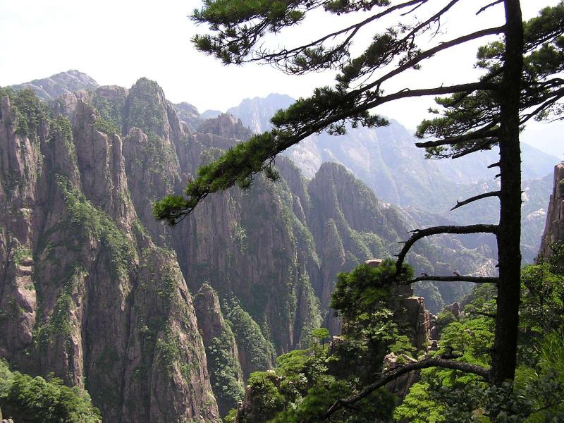  p>排云亭位于 a target="_blank" href="/item/黄山风景区/1350521"