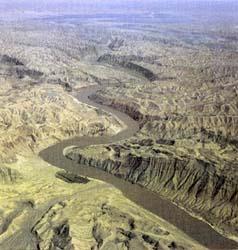  p>荒漠化(desertification)是由于干旱少雨,植被破坏,过度 a target=