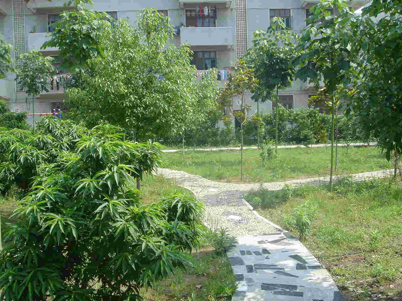 武汉市新洲区第四中学